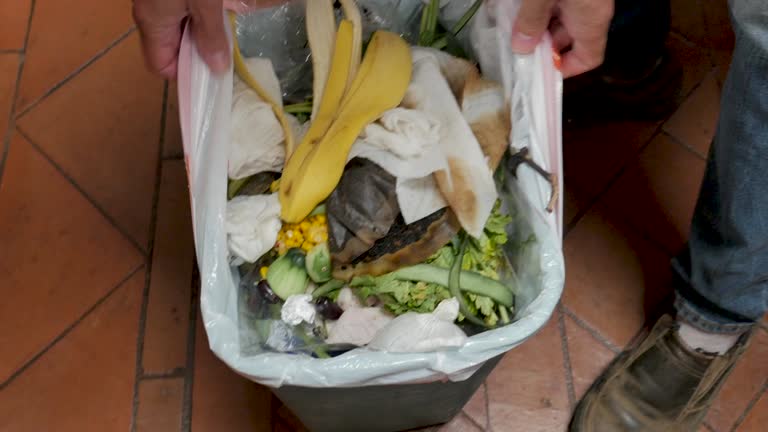 Recycling Services for Junk in Marietta, OH